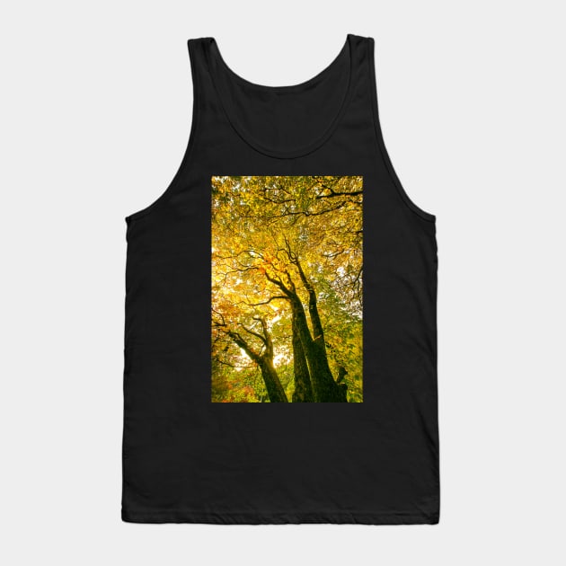 Autumn Leaves - Tree leaves changing colour Tank Top by Upbeat Traveler